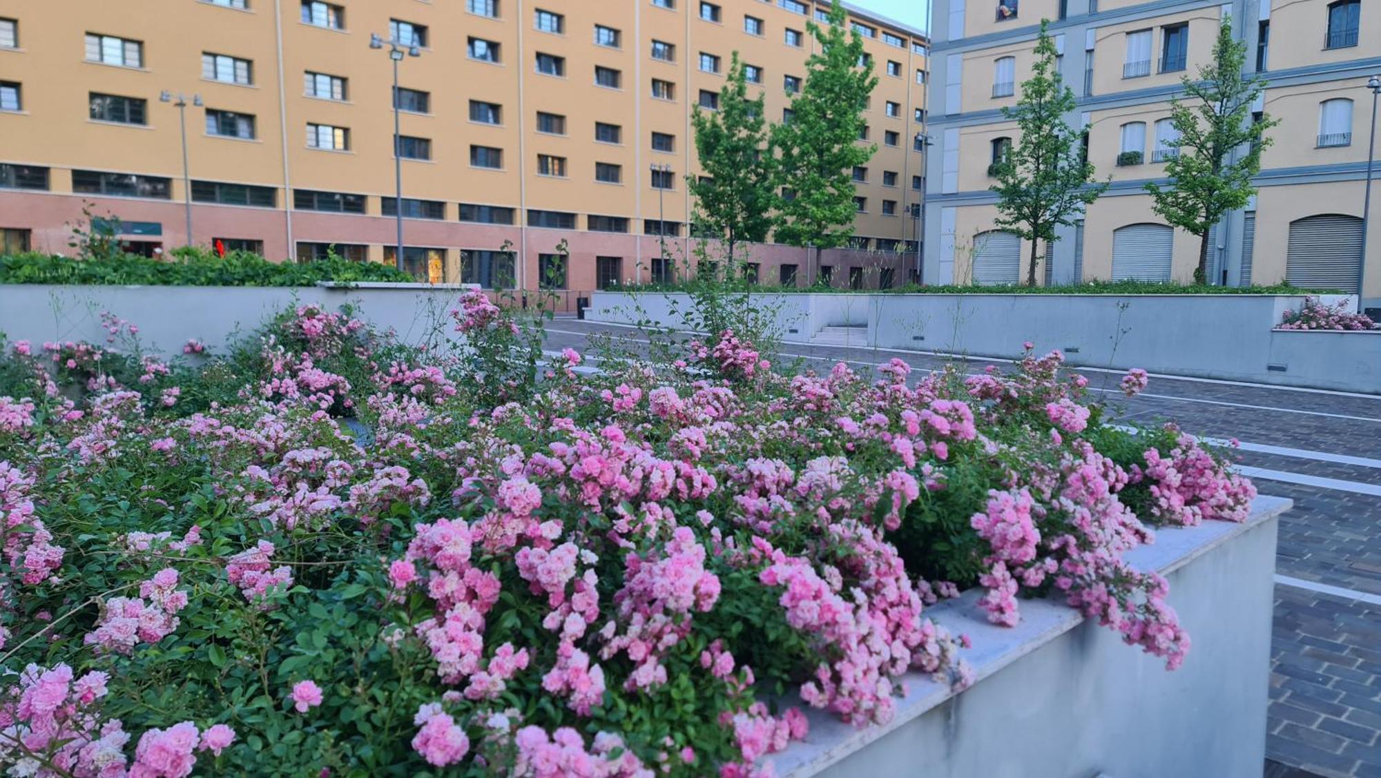 Milan Space Loft - Apartment Close To M5 Subway - Free Parking - Sky & Netflix Tv — Photos 2